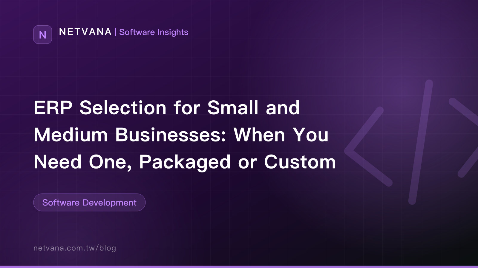 ERP Selection for Small and Medium Businesses: When You Need One, Packaged or Custom | NETVANA Software Insights article cover